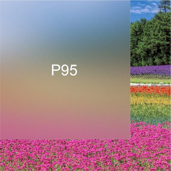 Etched Plexiglass (P95) - Blue Ridge Sign Supply Inc